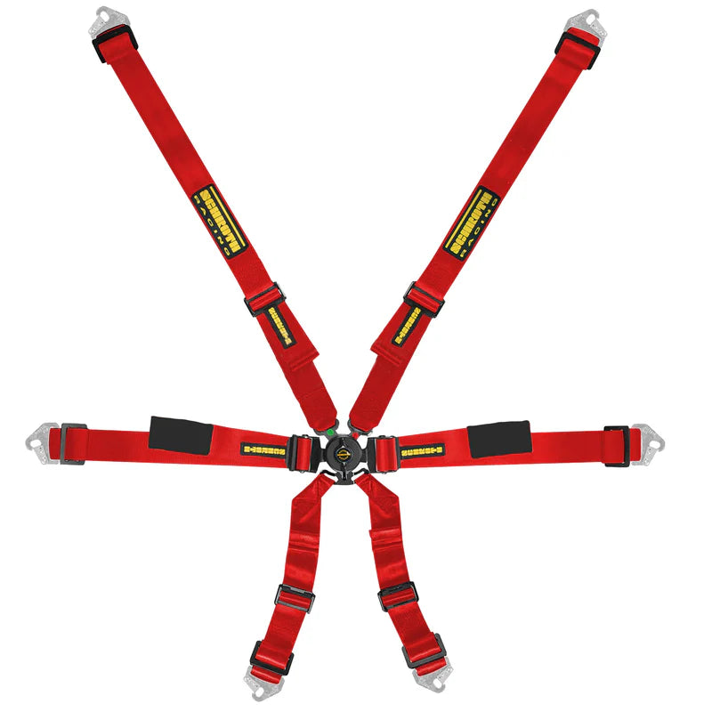 Schroth Enduro 2x2 FIA Harness