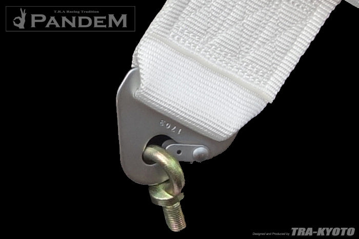 Pandem 6-Point 3" White Harness